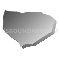 Census Tract 203.04, Spotsylvania County, Virginia (Gray Gradient Fill with Shadow)