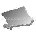 Census Tract 501, Wythe County, Virginia (Gray Gradient Fill with Shadow)