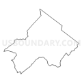 Census Tract 402, Botetourt County, Virginia (Light Gray Border)