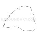 Census Tract 110, Albemarle County, Virginia (Light Gray Border)