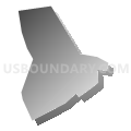 Census Tract 9103.02, Manassas city, Virginia (Gray Gradient Fill with Shadow)