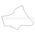 Census Tract 202.01, Montgomery County, Virginia (Light Gray Border)