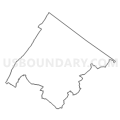 Census Tract 9302, Rockbridge County, Virginia (Light Gray Border)
