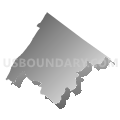 Census Tract 9302, Rockbridge County, Virginia (Gray Gradient Fill with Shadow)