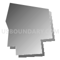 Census Tract 1035.02, Arlington County, Virginia (Gray Gradient Fill with Shadow)