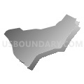 Census Tract 4, Staunton city, Virginia (Gray Gradient Fill with Shadow)