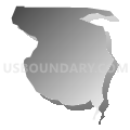 Census Tract 107, Spokane County, Washington (Gray Gradient Fill with Shadow)