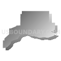 Census Tract 113, Spokane County, Washington (Gray Gradient Fill with Shadow)