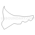 Census Tract 203, Wayne County, West Virginia (Light Gray Border)