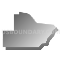 Census Tract 112, Wood County, Wisconsin (Gray Gradient Fill with Shadow)
