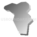 Census Tract 2405, Cidra Municipio, Puerto Rico (Gray Gradient Fill with Shadow)