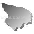 Census Tract 8101, Añasco Municipio, Puerto Rico (Gray Gradient Fill with Shadow)