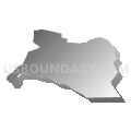 Census Tract 9532, Salinas Municipio, Puerto Rico (Gray Gradient Fill with Shadow)