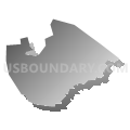 Census Tract 504.02, Carolina Municipio, Puerto Rico (Gray Gradient Fill with Shadow)