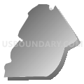 Census Tract 9918, Humacao Municipio, Puerto Rico (Gray Gradient Fill with Shadow)