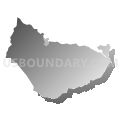 Census Tract 5306, Corozal Municipio, Puerto Rico (Gray Gradient Fill with Shadow)