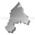 Census Tract 2609.01, Cayey Municipio, Puerto Rico (Gray Gradient Fill with Shadow)