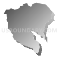 Census Tract 2505, Aibonito Municipio, Puerto Rico (Gray Gradient Fill with Shadow)
