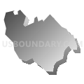 Census Tract 2503, Aibonito Municipio, Puerto Rico (Gray Gradient Fill with Shadow)