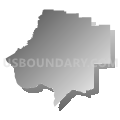Levy County School District, Florida (Gray Gradient Fill with Shadow)