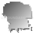 Durant Community School District, Iowa (Gray Gradient Fill with Shadow)