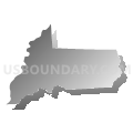 Wicomico County Public Schools, Maryland (Gray Gradient Fill with Shadow)