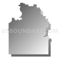 Bronson Community School District, Michigan (Gray Gradient Fill with Shadow)