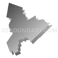 Newfound Area School District, New Hampshire (Gray Gradient Fill with Shadow)