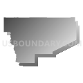 Truth or Consequences Schools, New Mexico (Gray Gradient Fill with Shadow)