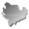 Union-Endicott Central School District, New York (Gray Gradient Fill with Shadow)