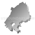 Pine Bush Central School District, New York (Gray Gradient Fill with Shadow)