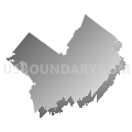 Rondout Valley Central School District, New York (Gray Gradient Fill with Shadow)