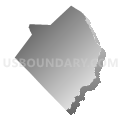 Robeson County Schools, North Carolina (Gray Gradient Fill with Shadow)