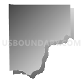 Madison Local School District, Ohio (Gray Gradient Fill with Shadow)