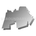 Tunkhannock Area School District, Pennsylvania (Gray Gradient Fill with Shadow)