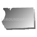 Riverside Beaver County School District, Pennsylvania (Gray Gradient Fill with Shadow)