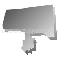 Forest City Regional School District, Pennsylvania (Gray Gradient Fill with Shadow)