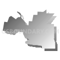 South San Antonio Independent School District, Texas (Gray Gradient Fill with Shadow)