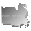 Newcastle Independent School District, Texas (Gray Gradient Fill with Shadow)