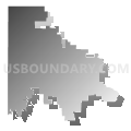 Chico Independent School District, Texas (Gray Gradient Fill with Shadow)