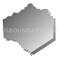 Dinwiddie County Public Schools, Virginia (Gray Gradient Fill with Shadow)