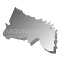 Charles City County Public Schools, Virginia (Gray Gradient Fill with Shadow)