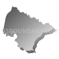 0313 - HAGIN Voting District, Bulloch County, Georgia (Gray Gradient Fill with Shadow)
