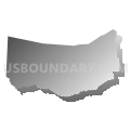 38255, Tennessee (Gray Gradient Fill with Shadow)