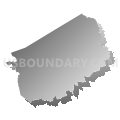 78947, Texas (Gray Gradient Fill with Shadow)