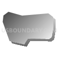 Bonanza Mountain Estates CDP, Colorado (Gray Gradient Fill with Shadow)
