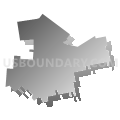 Assembly District 55, New York (Gray Gradient Fill with Shadow)