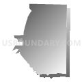 State House District 113, Texas (Gray Gradient Fill with Shadow)
