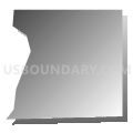 Census Tract 8110, Maricopa County, Arizona (Gray Gradient Fill with Shadow)