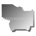 Census Tract 2168.51, Maricopa County, Arizona (Gray Gradient Fill with Shadow)
